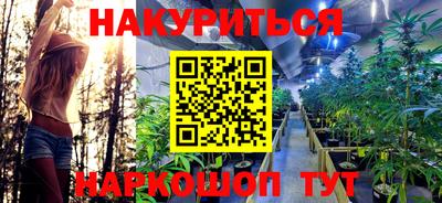 винт Новозыбков