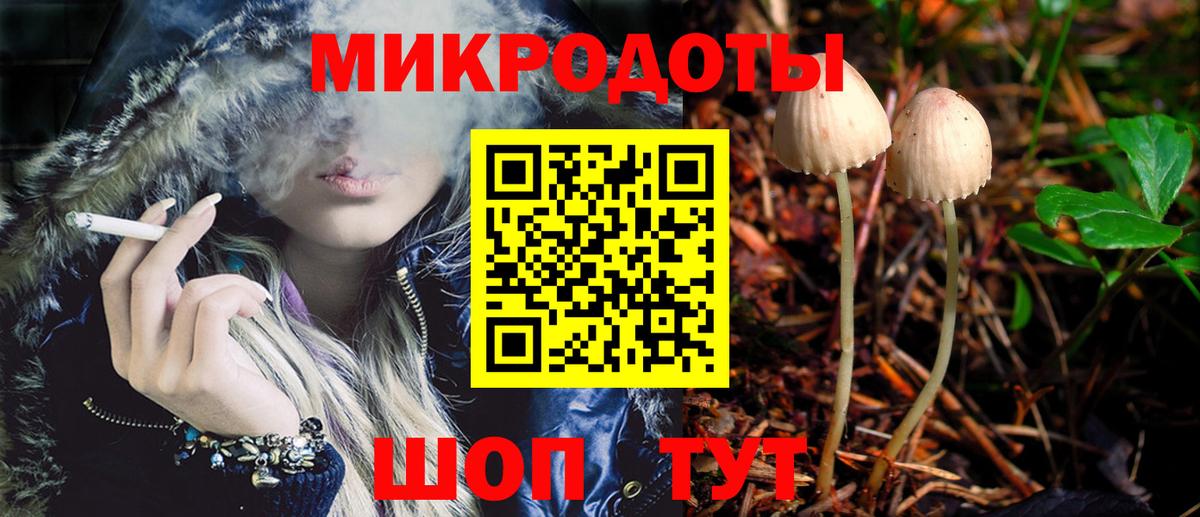 Псилоцибиновые грибы Cubensis  Вход с VPN  Санкт-Петербург 
